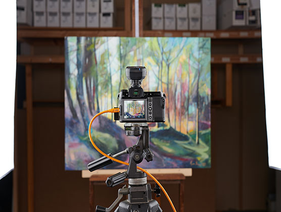 Camera-with-artwork556x420px.jpg__PID:180aa438-b336-407f-a499-84f1ff7a0eea
